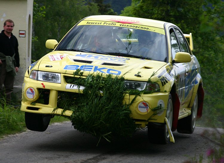 Vlček